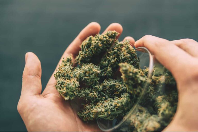 A Brief Overview on CBD Flower