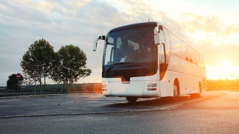 Is Online Bus Booking The Best Option For You?
